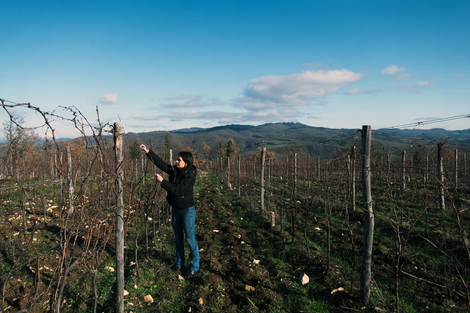 Angela Fronti at her family vineyards in Radda-in-Chianti in the Tuscany region of Italy on Jan. 9, 2024. Fronti used her familyÕs vineyards to create Istine, now an excellent Chianti Classico estate. (Clara Vannucci/The New York Times)