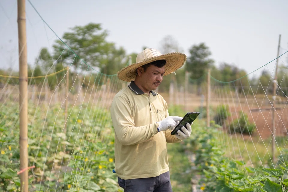 Millions of small and medium-sized enterprises in the region face limited credit access and fragmented payment systems, the company said.