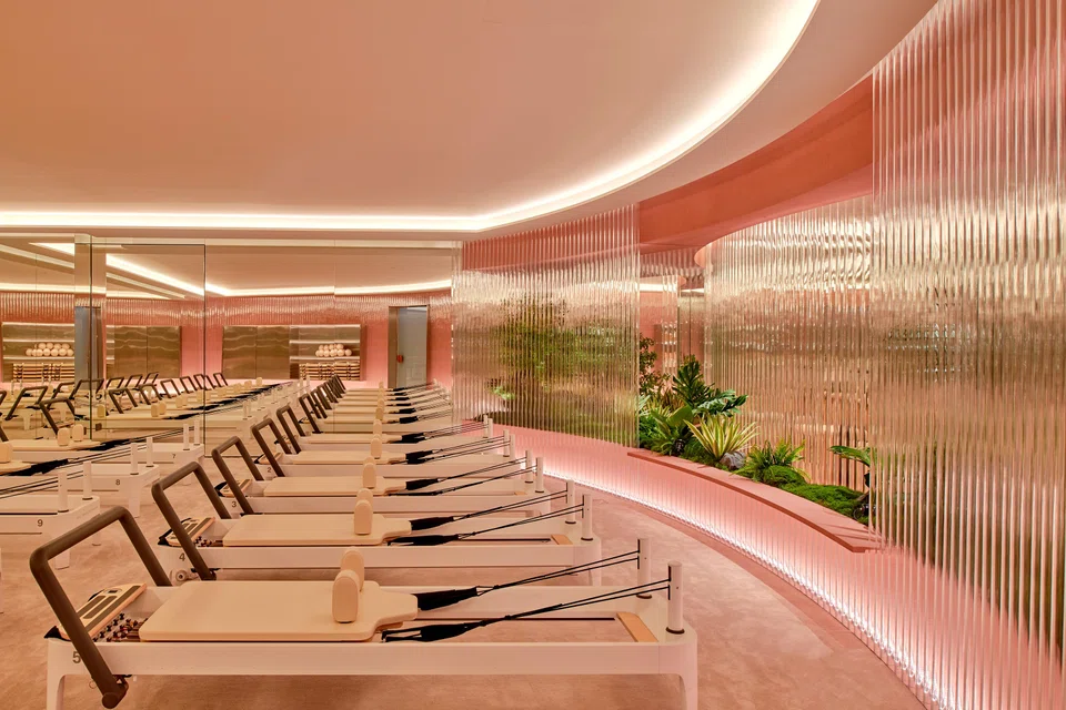 Ally fitness studio sets itself apart with a gentler approach to fitness compared to other gyms.   