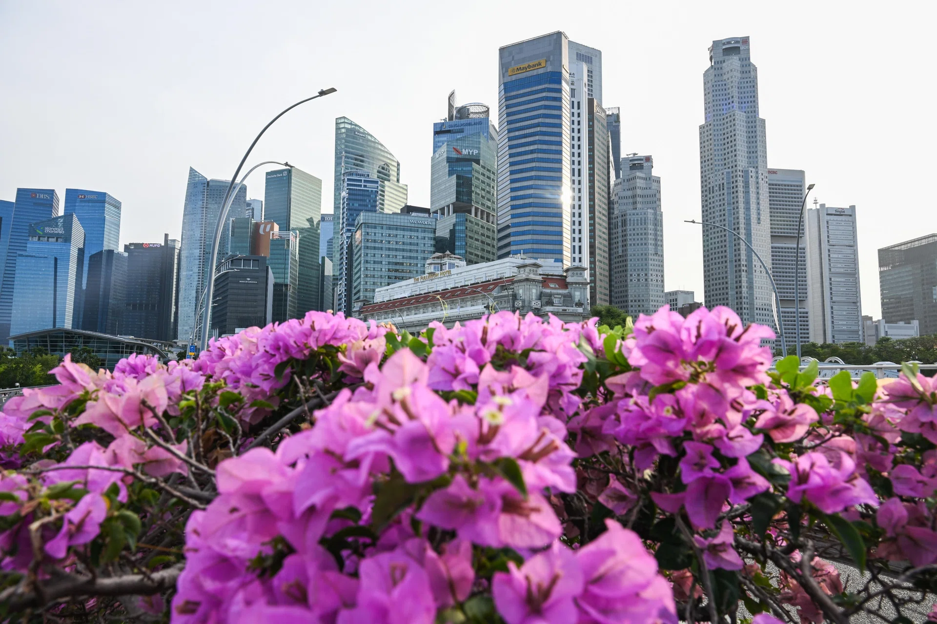 Outperforming Asia credit markets a draw for  investors