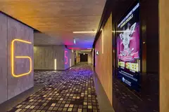 Cathay Cineplexes' delayed rental payments could indicate a structural issue among cinema operators, says one analyst.