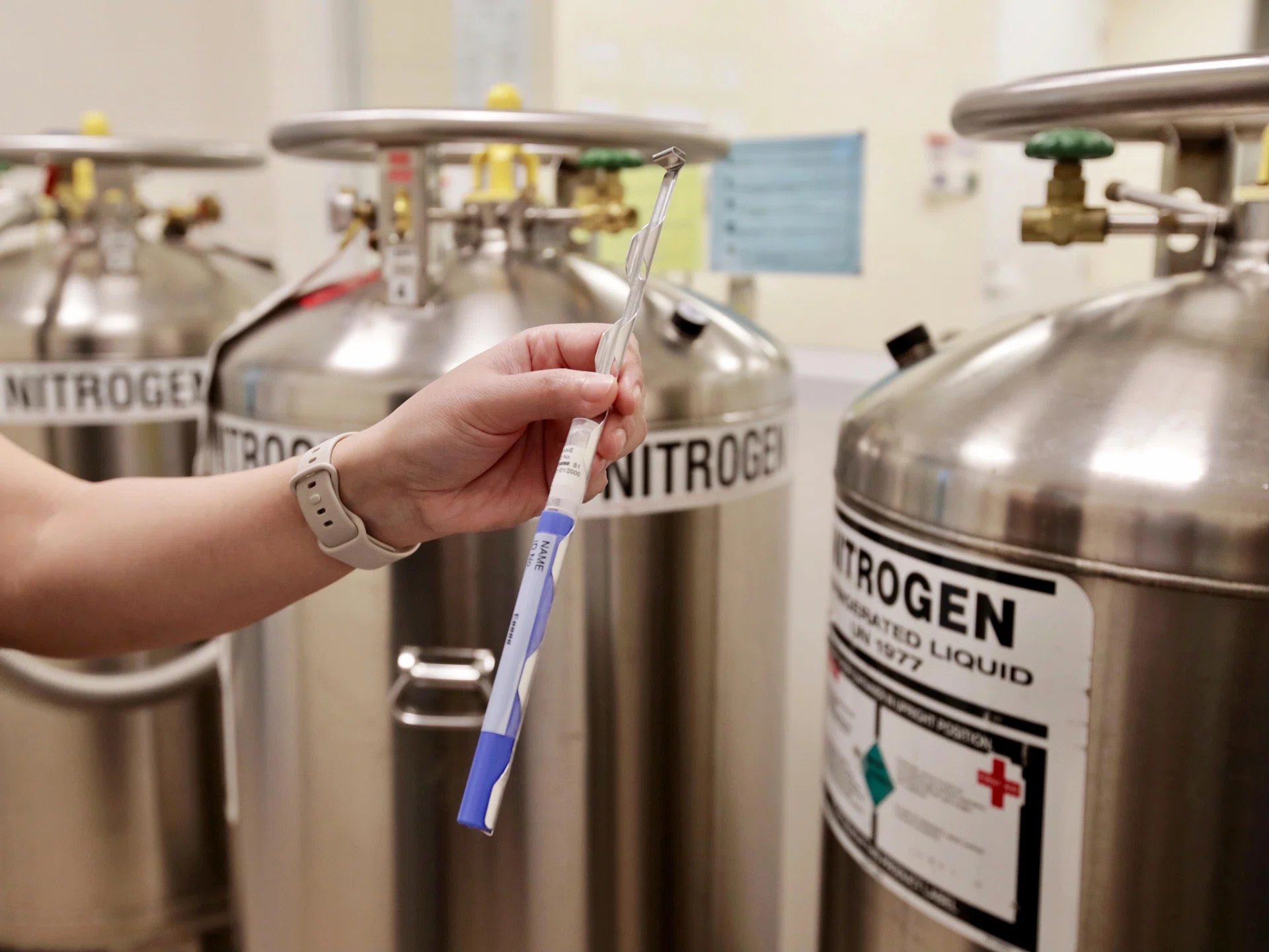 Could Singapore government consider providing financial assistance for egg freezing?