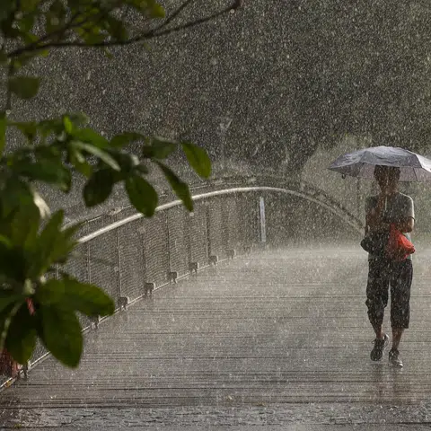 Singapore to draw up national climate adaptation plan