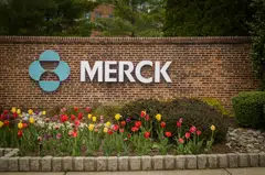 The deal with LaNova Medicines bolsters Merck’s push into the promising new field of dual-targeted antibodies.