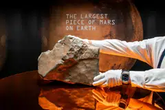 Just like its mother planet, NWA 16788 has a distinctly reddish hue, as well as signs of fusion crust from its violent descent through Earth’s atmosphere.