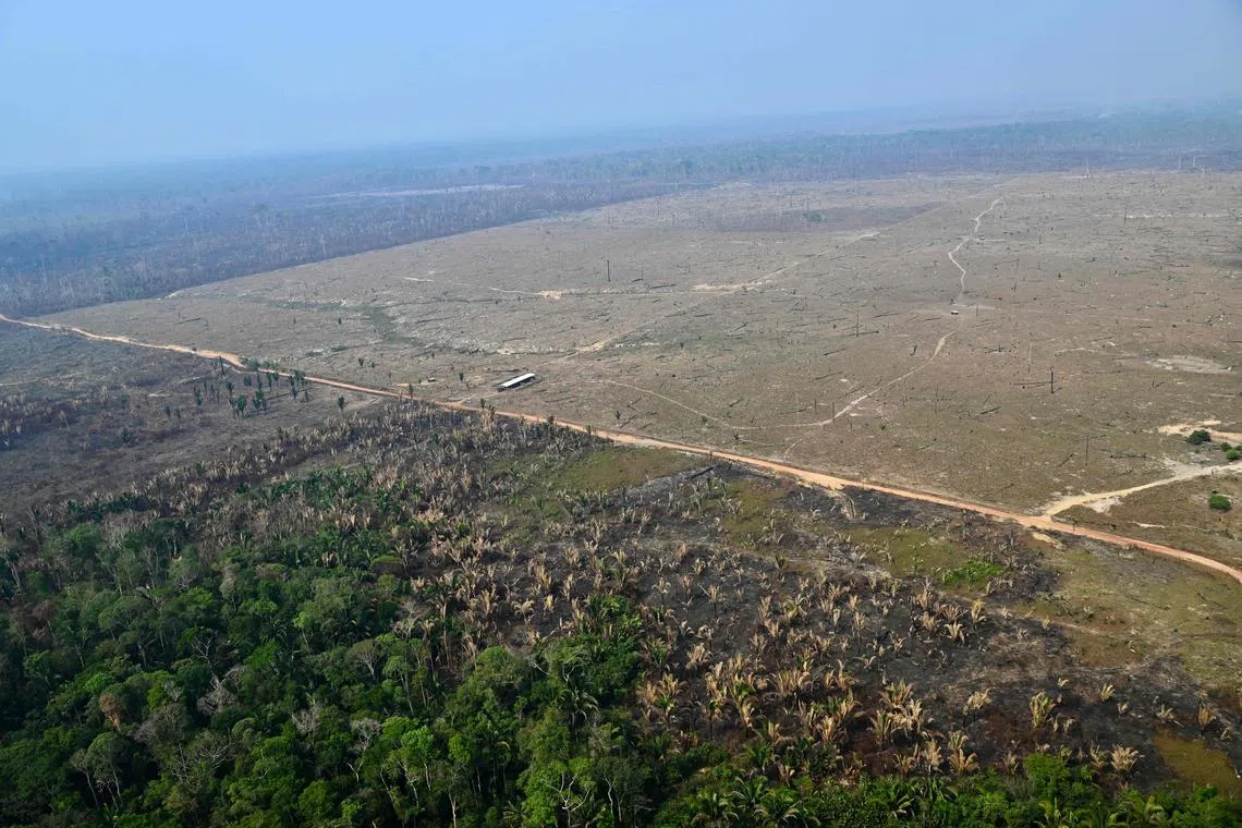 The "debt-for-nature" swaps have gained traction in recent years, with deals involving the Galapagos Islands, coral reefs and the Amazon rainforest (above).