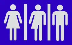 The sustainable finance market has grown significantly. But gender-lens investing remains in its infancy.