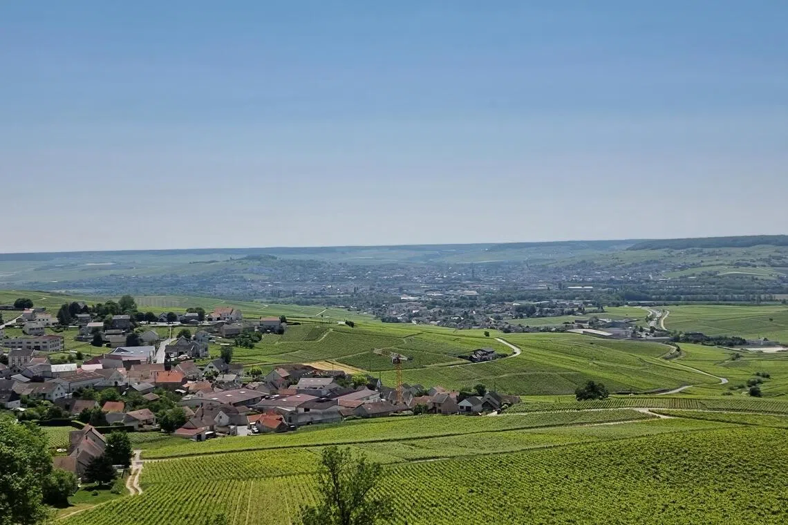 A commanding view of surrounding vineyards from the hotel Royal Champagne.