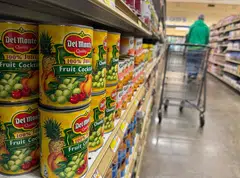 It previously said that “consolidation difficulties” linked to its US-based subsidiary that filed for bankruptcy, Del Monte Foods (DMF), were part of the reason for the extension requests. 