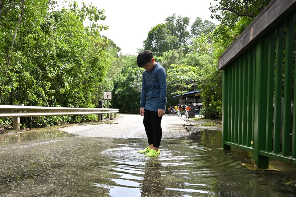 Singapore faces significant physical risk through more extreme rainfall and potential sea level rises – about 30 per cent of the island nation is less than five metres above sea level.