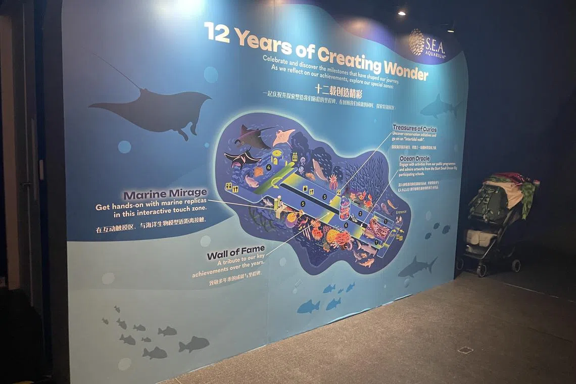 For its anniversary, SEA Aquarium has introduced specially curated zones that celebrate its impact on marine education, conservation and appreciation. 