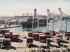 A universal tariff has the potential to deliver a devastating jolt to world trade, economists have warned.