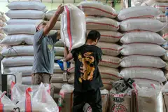 Workers preparing customers' orders at the main rice market in Jakarta.. Multiple government agencies have come together to probe widespread corruption, fraud and regulatory violations in the rice sector. 
