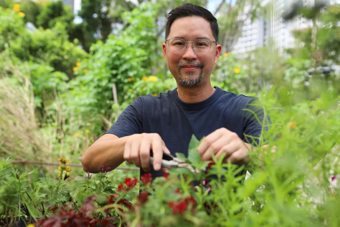 Bjorn Low, chief urban farmer and co-founder of Edible Garden City, helped legitimise urban agriculture in Singapore.