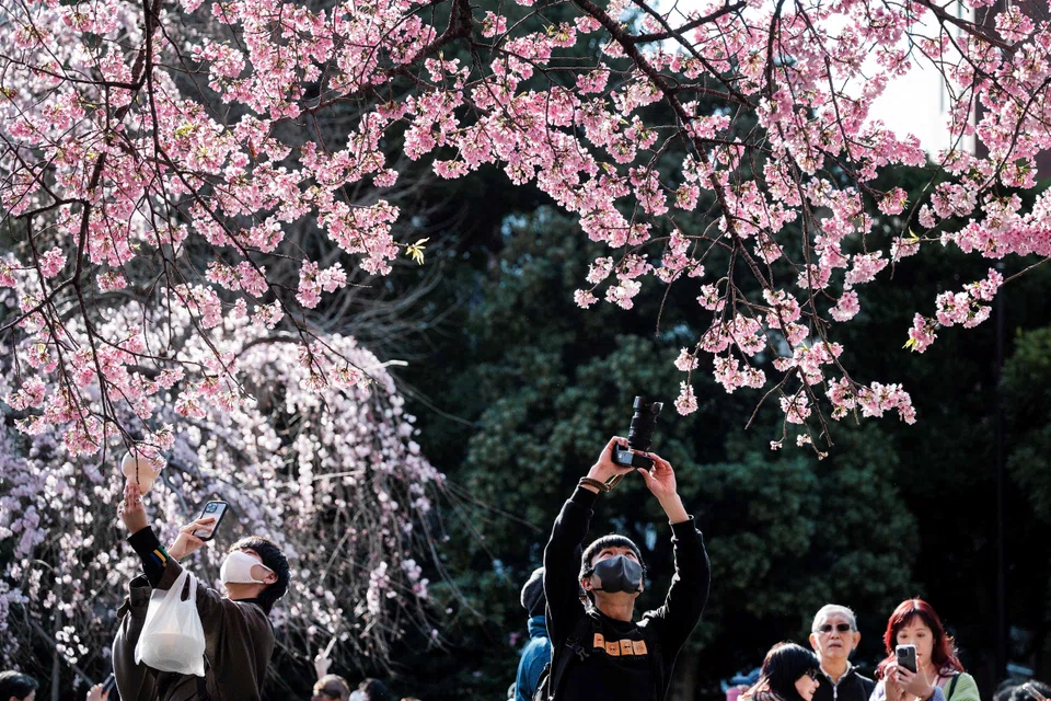 Even as Tokyo resumes its tradition of cherry-blossom viewing after the pandemic, other aspects of life in the capital might not return.