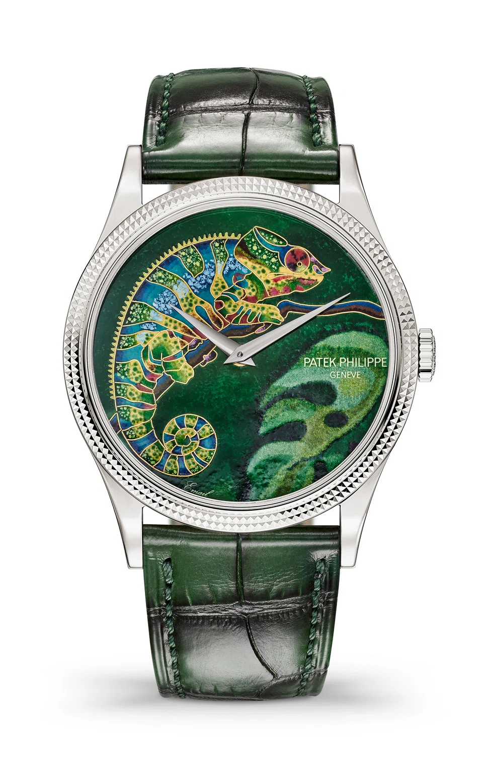 Ref 5177G-027 Calatrava Chameleon (Rare Handcraft)