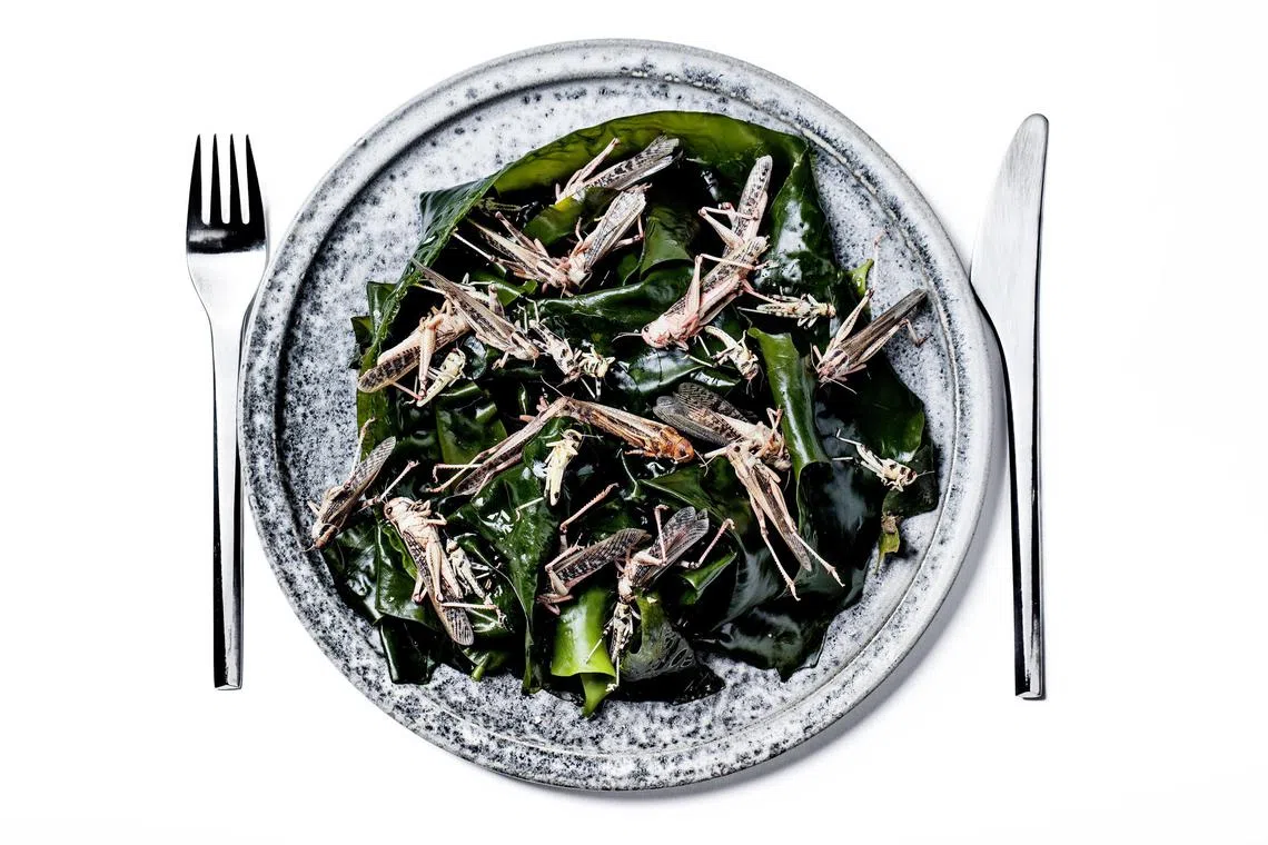 The writer calls for measures from SFA against  inadvertent consumption arising when insect food is served whole or crushed and added to cooking ingredients and served in restaurants. 