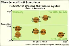 The Network for Greening the Financial System’s climate scenarios reflect different levels of transition and physical risk.