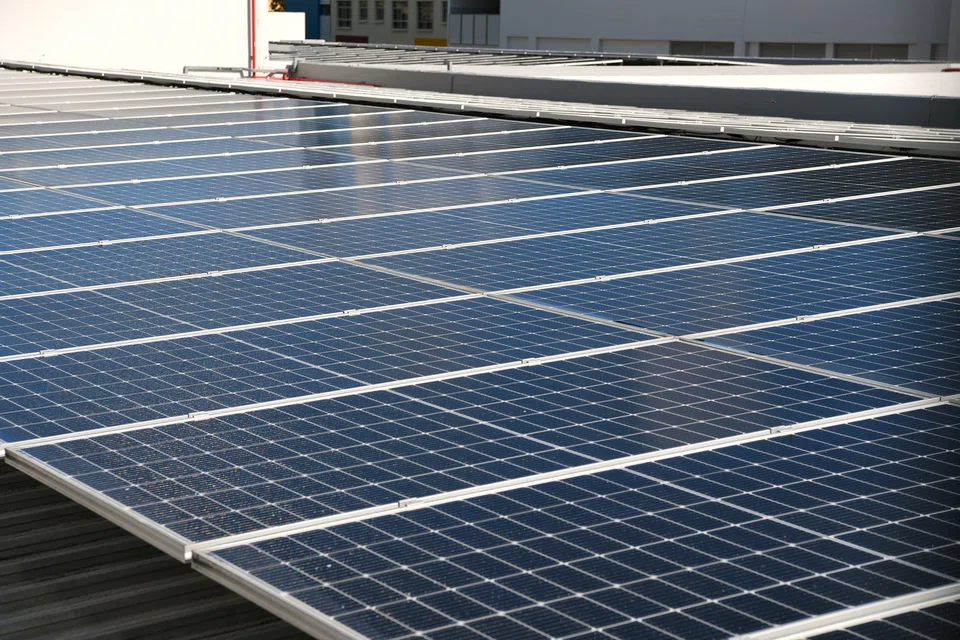 Investors should continue to take a longer-term view on energy transition and sustainability more broadly, say finance specialists.