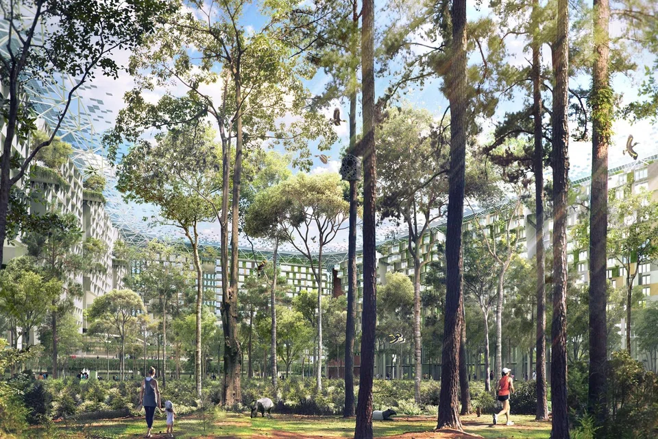 Density, resilience and self-sufficiency can be planned for in tandem. The writers make a case for reinstating the production of food, energy and water closer to where people live. Above is a 2013 proposal for Tengah Green by design agency WOHA.