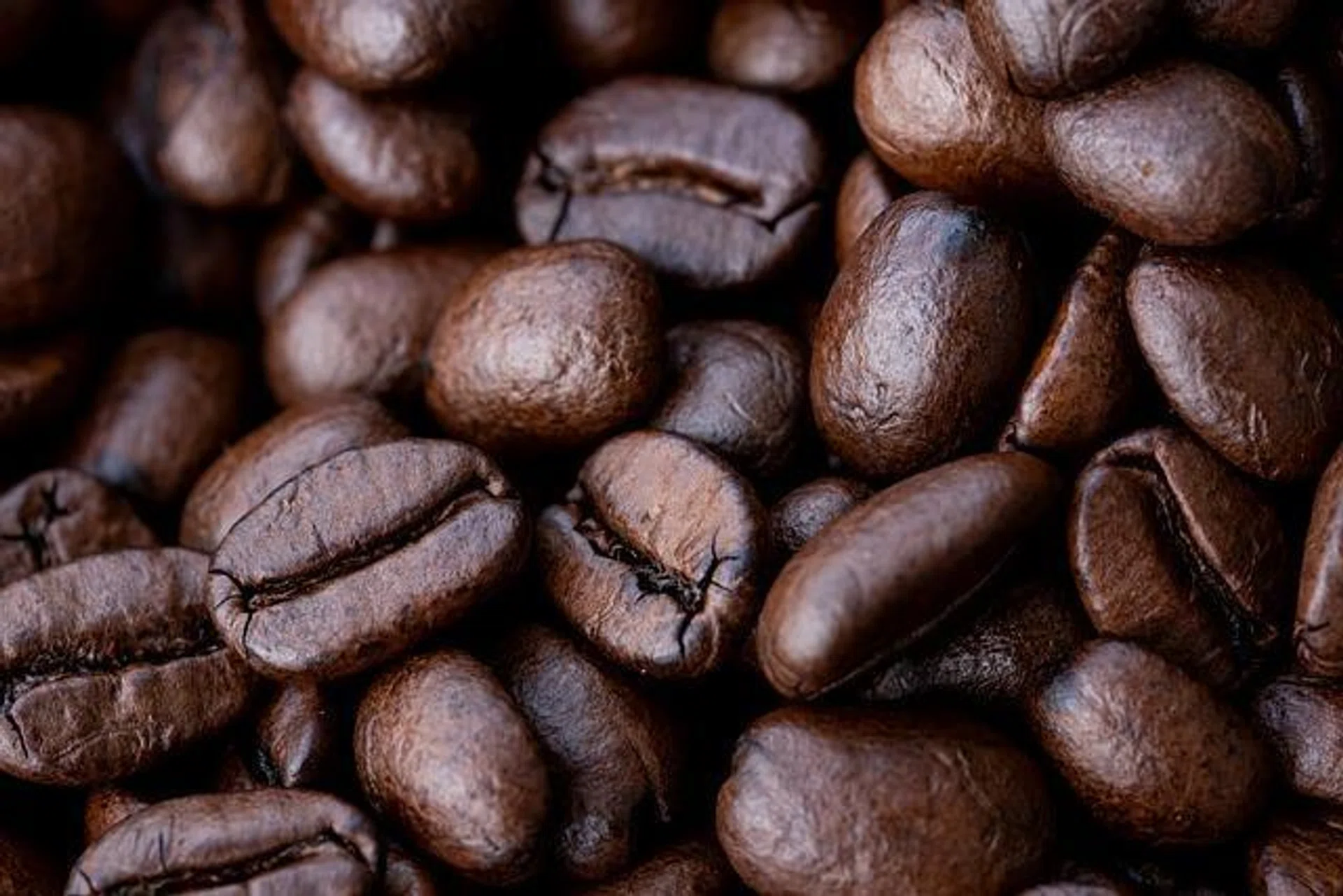 Vietnam police seize tons of fake coffee products made from soybeans