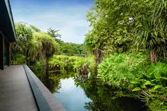 Equarius Hotel’s eco-pond is a designated biodiversity reserve.
 

