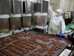 The S&P Global Japan Manufacturing PMI rose to 53.0 in February, up from January’s 51.5, marking the biggest expansion since May 2022 and inching up from the flash reading of 52.8. 