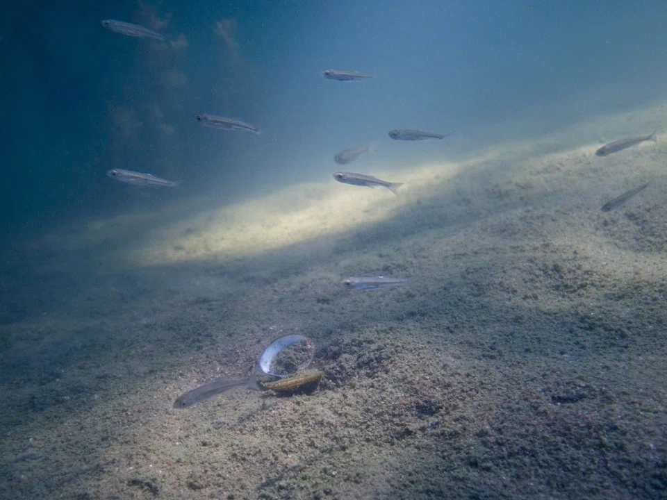 The Valuing Water Finance Initiative is the latest led by sustainability investor group Ceres to bring pressure corporations on environmental issues.