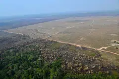 Brazil, the US and other countries in Asia, Africa and Latin America had said the anti-deforestation rules would push up production and export costs, especially for smallholders, and complained of a lack of guidance for implementation.