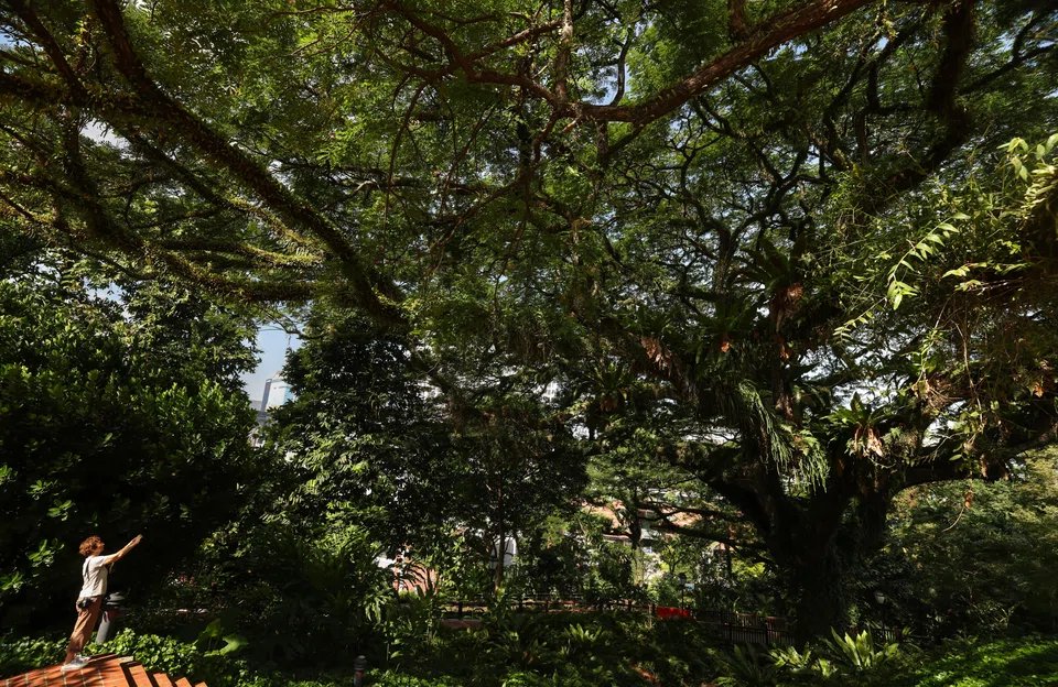 Under Singapore’s decarbonisation plan, the government is aiming to peak its own emissions around 2025, and achieve its net-zero target around 2045.