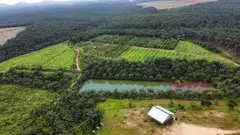 Maybank upgraded First Resources to “buy” from “hold”, and raised its target price to S$1.69 from S$1.60 previously. Similarly, RHB upgraded the counter to “buy” from “neutral”, raising its target price to S$1.85 from S$1.65 previously.