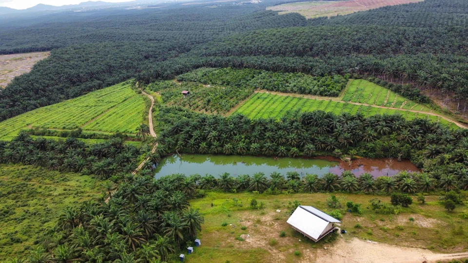 Maybank upgraded First Resources to “buy” from “hold”, and raised its target price to S$1.69 from S$1.60 previously. Similarly, RHB upgraded the counter to “buy” from “neutral”, raising its target price to S$1.85 from S$1.65 previously.