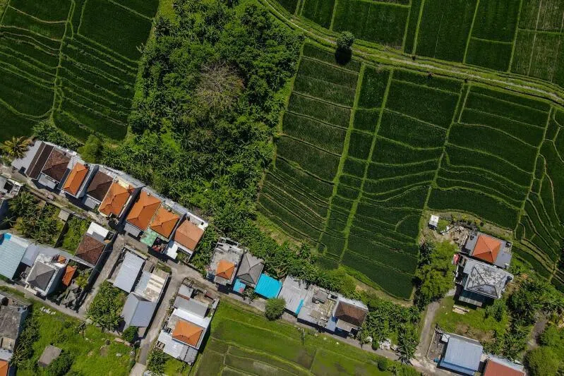The floods are caused partly by record rain, but are also a reckoning for years of rampant overdevelopment and a waste management system under enormous strain; the island’s formerly verdant south has been transformed by a tourism boom that brought jobs and economic benefits, but also paved over and built on paddy fields and coconut groves that once provided drainage.  