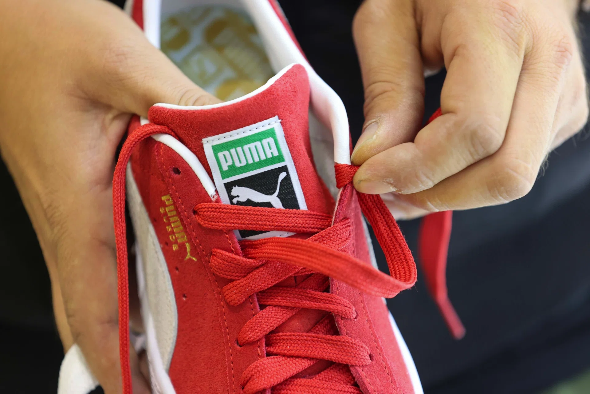 Pinault family is exploring options for Puma, including a sale