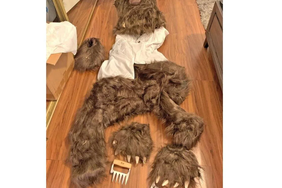 Detectives found a bear costume in a suspect's home. Ruben Tamrazian, 26, Ararat Chirkinian, 39, Vahe Muradkhanyan, 32, and Alfiya Zuckerman, 39, were been charged with insurance fraud and conspiracy over the claims, which were worth over US$140,000.  