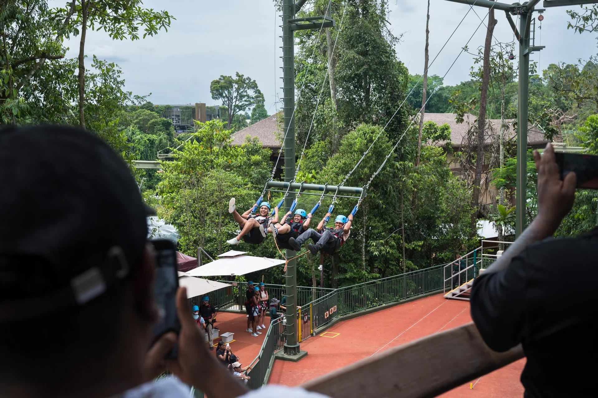 Mandai Wildlife Group caps off decade-long rejuvenation with full launch of Rainforest Wild Adventure