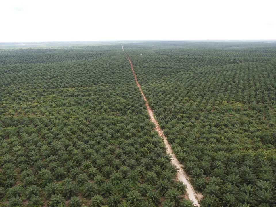 Bumitama Agri says its operational output has largely gone sideways, in line with the low production volumes in the industry. 