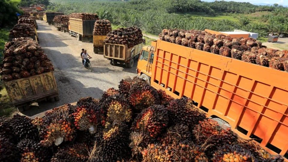 Indonesian exports of palm oil, cocoa, coffee, rubber and timber worth six billion euros will be affected by the EUDR, Jakarta has previously estimated.