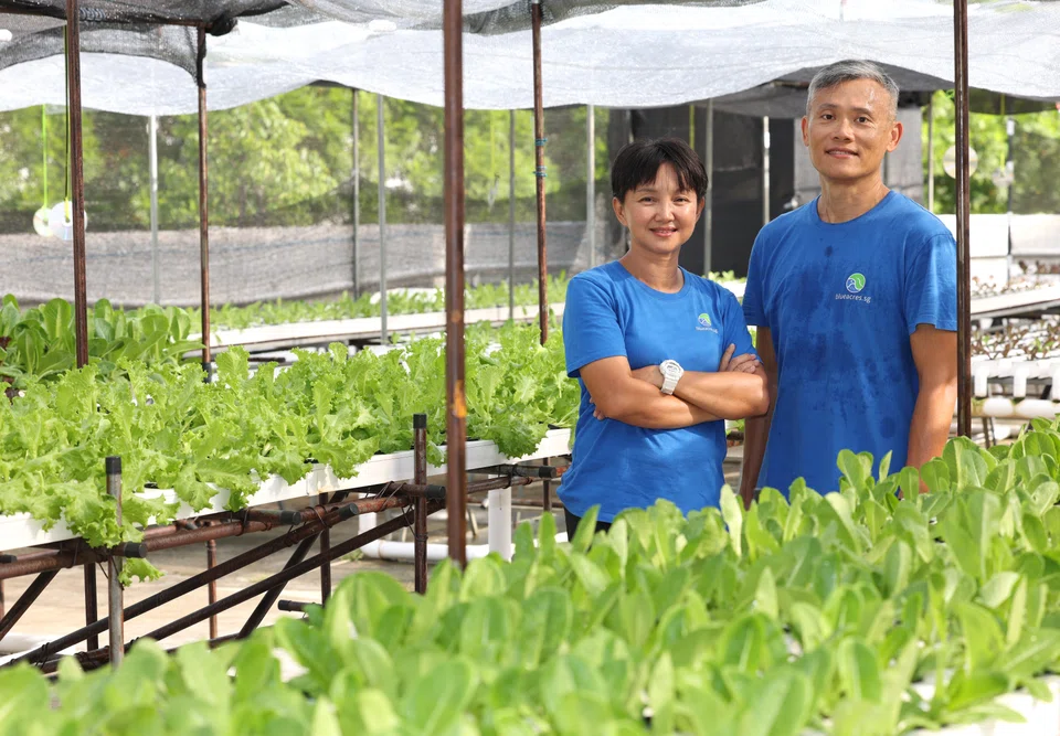 Ng Boon Ching (left) and Kee Boon Hian came together over an interest in two sides of the same coin.