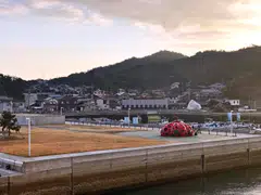 The coastal areas surrounding the Seto Inland Sea account for more than three-quarters of Japan's farmed oyster production.