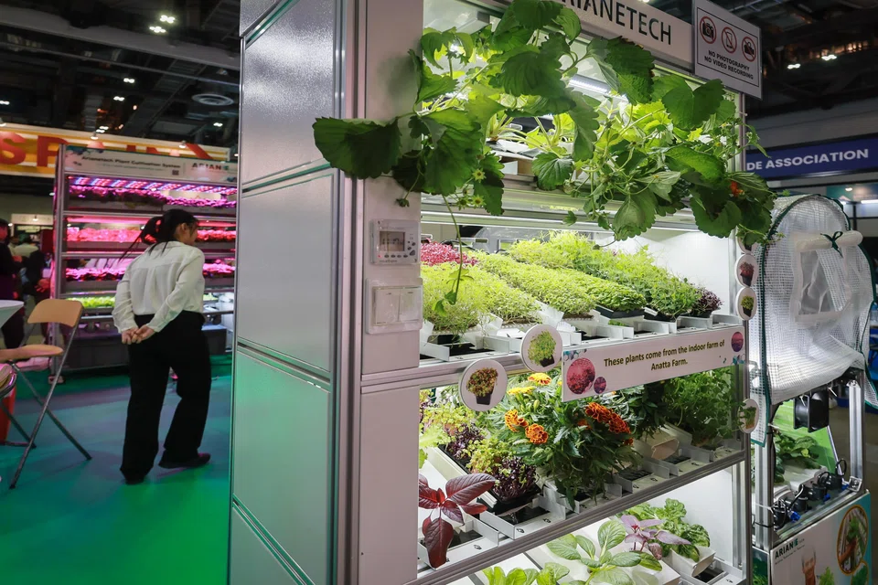 Since the Agri-Food Cluster Transformation Fund's launch in 2021, S$55 million has been awarded to nearly 150 projects.