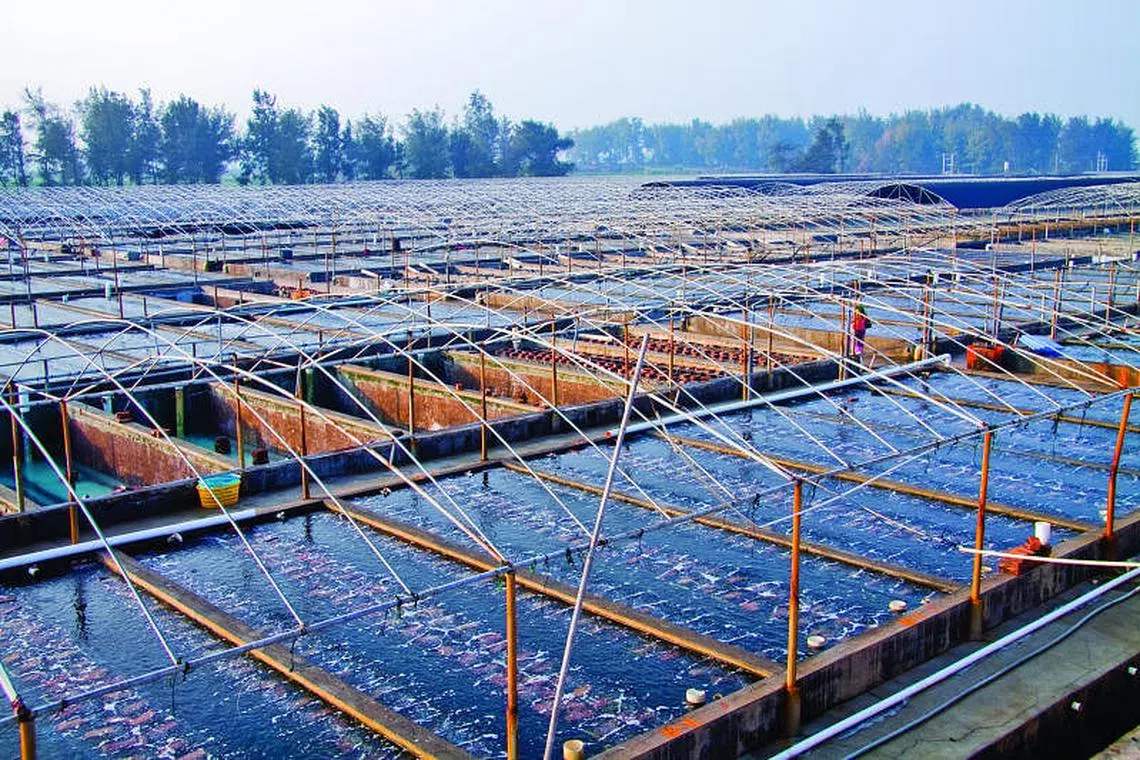 Oceanus exits SGX watch list after nearly six years