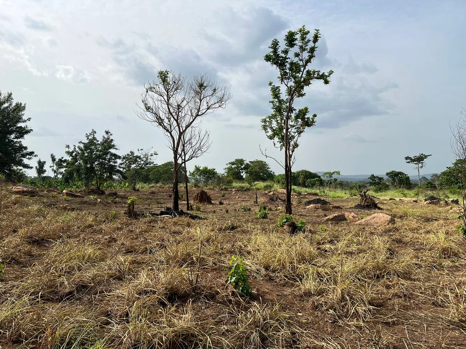 The project located in the greater Kwahu area in Ghana aims to regenerate an estimated 100,000 hectares of degraded lands, among other goals.