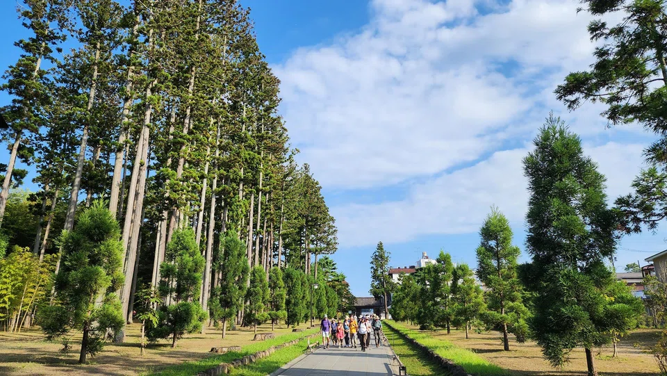 The impressive cedar-lined path leading to Zuiganji temple in Matsushima.