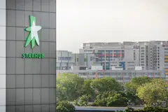 The decline in StarHub's earnings has been attributed to lower gross profit from segments with revenue decline.