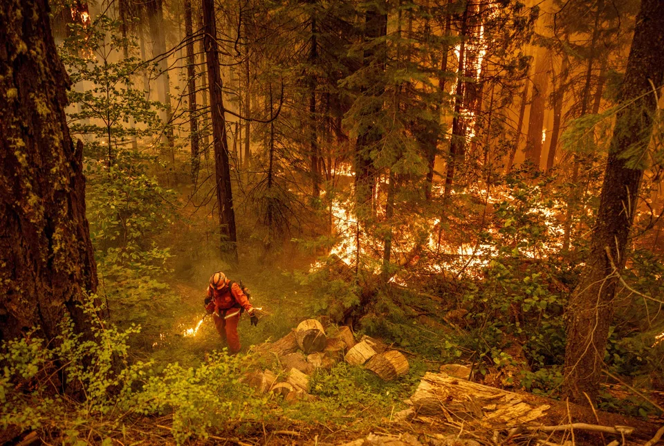 A forest fire on Aug 7 in Mill Creek, California. Some scientists search for the causes underlying some observable effect, such as a decimated pine forest or the Earth’s global surface temperature increase.