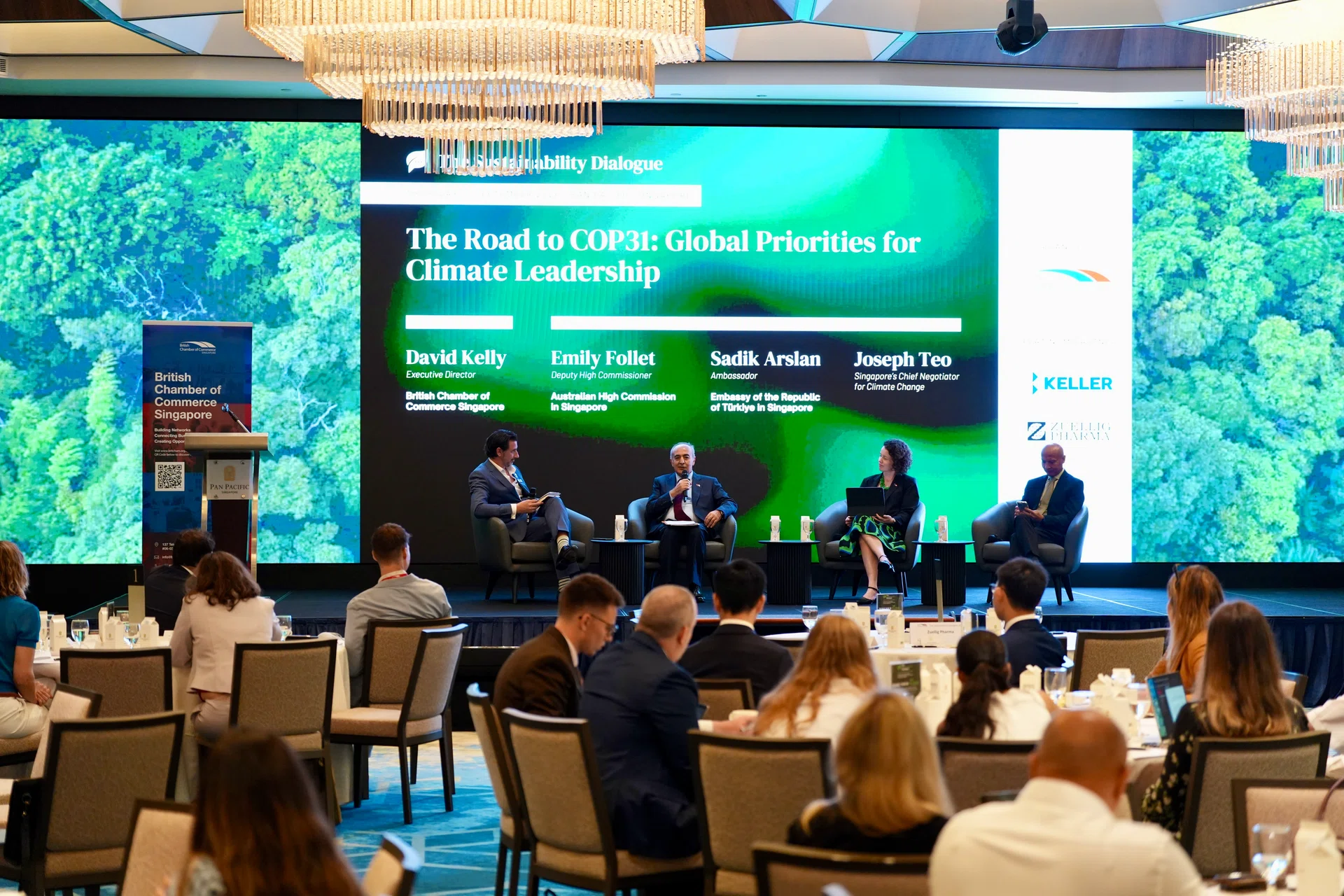 Asean can be self-sufficient in energy, food with an integrated market: Singapore's chief climate negotiator