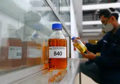 Indonesia brought the case to the WTO dispute body in 2019 after the EU decided that palm oil-based diesel would not be considered a biofuel.