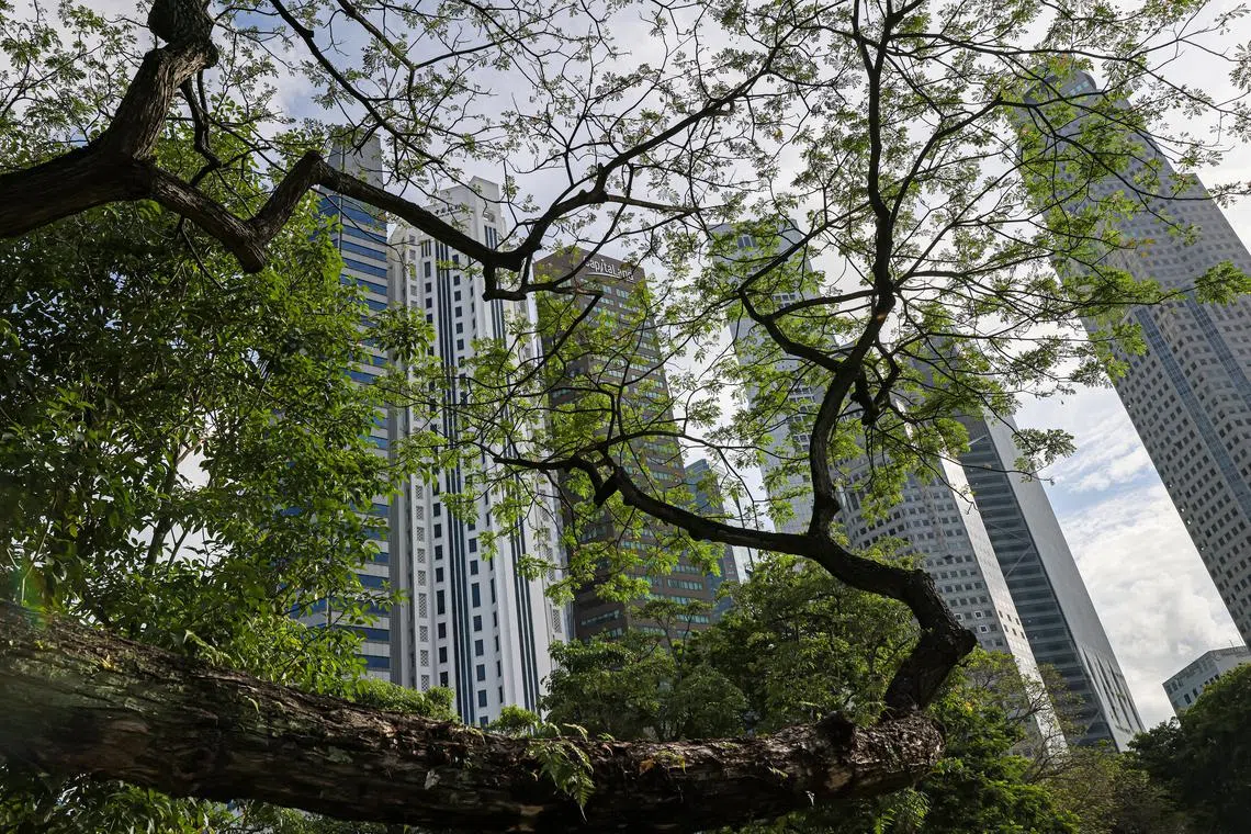 Generic photos for stories related to ESG, sustainability, energy renewal. Singapore will require all listed firms to make climate-related disclosures from financial year 2025.