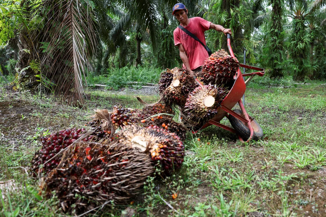 The seizures spotlight decades of murky land legality.